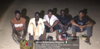 Troops Arrest Five Suspected Drug Peddlers in Adamawa