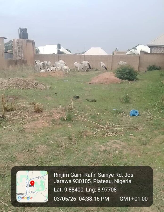 SAVE_20260504_115940
