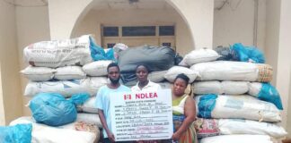 NDLEA Uncovers Illicit Drugs Concealed in Water Purifiers, Seizes Military-Grade Ammunition in Kaduna