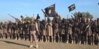 Another Joint Nigeria-US Airstrike Neutralises 21 Additional ISWAP terrorists in Borno