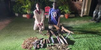Security Forces Uncover Major IPOB/ESN Arms Cache Hidden in Enugu Piggery