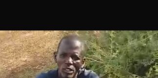 Troops Arrest Two Suspected ISWAP Informants in Borno
