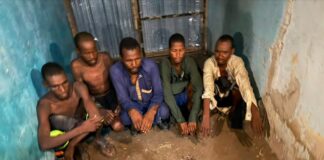 Troops Arrest Suspected Kidnappers, Recover Two AK-47 Rifles in Magumeri Borno