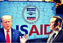 OPINION: USAID, Elon Musk, and Why Nigeria Must Demand Full Transparency from Foreign-Funded Organizations