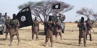 ISWAP Commanders Clash in Timbuktu Triangle, Several Feared Dead