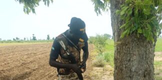Troops Foil Terrorists’ Abduction Attempt, Rescue Farmer in Borno