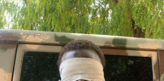 Troops Arrest Suspected ISWAP Spy, Foil Planned Attack on Military Bases in Borno