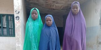 Troops Rescue Five Escapees from Terrorist Enclaves in Borno