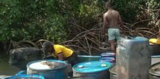 Troops Discover Illegal Refining Site in Rivers Forest During Anti-Bunkering Operation