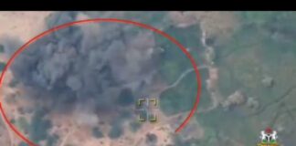 NAF Airstrikes Decimate Terrorist Stronghold, Kill Scores in Lake Chad Basin