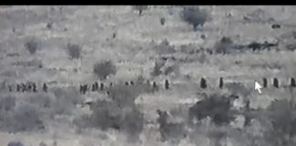 Troops Repel ISWAP Attack, Kill Scores in Fierce Air-Ground Offensive in Borno