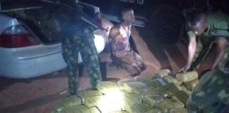 Troops intercept suspected drug trafficker, recover 235kg cannabis on Lokoja-Abuja highway