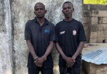 Troops Arrest Suspected ISWAP Logistics Supplier, Vigilante Accomplice in Borno