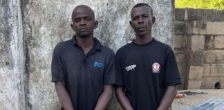 Troops Arrest Suspected ISWAP Logistics Supplier, Vigilante Accomplice in Borno