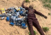 Troops Neutralize Suspected ISWAP Logistics Supplier in Borno