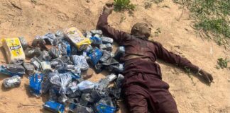 Troops Neutralize Suspected ISWAP Logistics Supplier in Borno