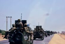 Troops Arrest Five Suspected Drug Peddlers, Recover Cannabis and Other Illicit Substances in Borno