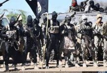 Troops Repel ISWAP Attack on Military Checkpoint, kill several terrorists in Yobe