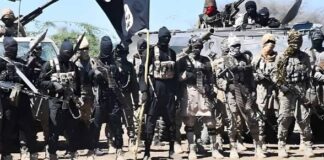 Five ISWAP Bomb Experts Killed in Premature IED Explosion in Borno