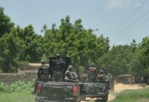 Troops recover 41 rustled cattle, foil rustling operation in Plateau