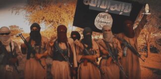 Cholera Outbreak Kills Nine ISWAP Terrorists in Timbuktu Triangle