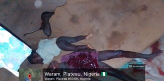 Suspected Fulani bandits kill 8, injure one in fresh Plateau attack as cycle of violence deepens