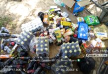 Troops intercept suspected ISWAP logistics suppliers, recover food, veterinary supplies in Borno