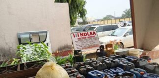 NDLEA Declares Alleged Drug Kingpin, Three Associates Wanted, Freezes ₦9.8bn Linked to Meth Syndicate