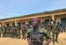 Military Offensive Neutralises Key Bandit Commanders, Restores Confidence on Gusau–Funtua Highway