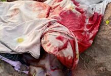 Several Feared Dead as Armed Herders Attack Sai Community in Benue