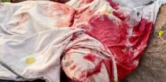 Several Feared Dead as Armed Herders Attack Sai Community in Benue