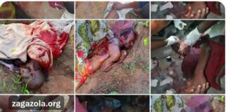 Cattle Rustling, Local Militia Activities Behind Community Attack in Benue
