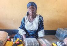 How Troops foiled suspected terrorist supply chain, nabbed Chadian Woman