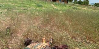 Troops foil multiple ISWAP infiltration attempts in Maiduguri, Buratai axis