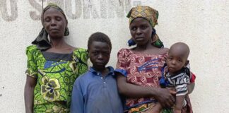 Four Family Members Flee ISWAP Enclave, Surrender to Troops in Gwoza