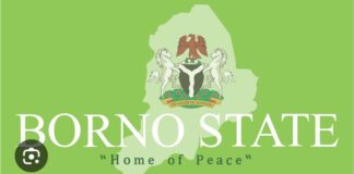 Borno Students Rally Behind Security Agencies, Reject Terrorism, Call for National Unity Against Boko Haram, ISWAP, Banditry