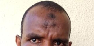 Terrorism: Man Arrested by DSS Bags 20-Year Jail Term for Shielding Notorious Bandit