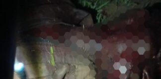 Troops Neutralise Two ISWAP Terrorists in Ambush Near UNIMAID, Maiduguri