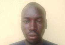 Troops Arrest Suspected ISWAP Spy, Logistics Supplier During Night Patrol in Borno