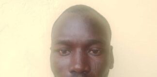 Troops Arrest Suspected ISWAP Spy, Logistics Supplier During Night Patrol in Borno