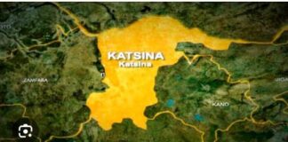 Military Operations Revive Farming, Healthcare and Education Across Katsina