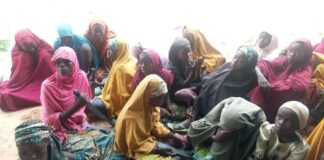 Police, Army Rescue 32 Kidnap Victims as Bandits Flee During Gun Battle in Sokoto
