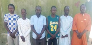 Troops arrest six suspected ISWAP collaborators over alleged cattle-trading terror financing in Borno