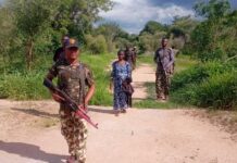 Troops rescue woman abducted by Boko Haram in 2021, total rescued through Gwoza corridor rises to 117