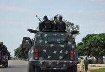 Fulani Herders Allegedly Destroy Farmlands in Plateau Community