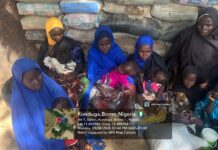 Troops Intercept 20 Suspected Boko Haram Family Members Fleeing ISWAP Attack in Borno