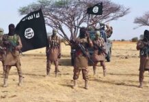 ISWAP Faces Fresh Leadership Frictions as Baa Shuwa Tightens Control in Lake Chad