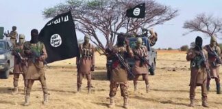 ISWAP Faces Fresh Leadership Frictions as Baa Shuwa Tightens Control in Lake Chad