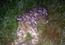 Gunmen Ambush Security Personnel in Plateau, Kill Police Inspector and Air Force Corporal