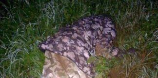 Gunmen Ambush Security Personnel in Plateau, Kill Police Inspector and Air Force Corporal